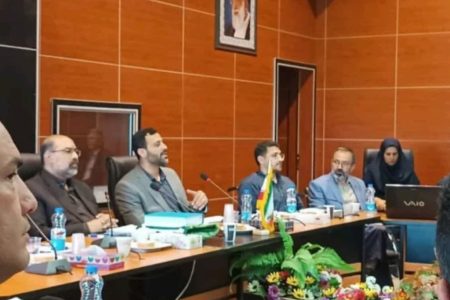 نشست مدیر کل بهزیستی گلستان و مدیر کل امور شهری و شوراهای استانداری با شهرداران استان