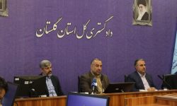 کاهش ۲۰ درصدی سرقت‌ها در گلستان