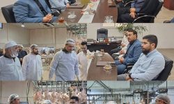 برگزاری جلسه شورای فرهنگی فصلی کشتارگاه صنعتی طیور شهیدمحسن فخری زاده