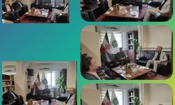 مدیرکل امورمالیاتی گلستان گفت: