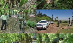 اجرای خلع ید و قلع و قمع اراضی تصرفی و جمع آوری لوله آب غیر مجاز در بخش کمالان و حوزه آبخیز ۸۸