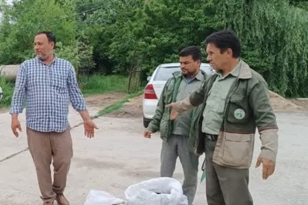 توقیف قارچ ترافل توسط نیروهای حفاظتی منابع طبیعی شهرستان کلاله