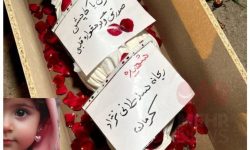 شهادت شهيده «ريحانه سلطاني نژاد» سند جنايات استکبار جهاني است