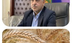 مدیر تعاون روستایی استان گلستان خبرداد: