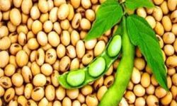 مدیرکل استاندارد گلستان تشریح کرد؛