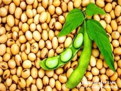 مدیرکل استاندارد گلستان تشریح کرد؛