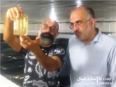 معاون شیلات گلستان خبر داد: