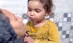 رئیس کل دادگستری گلستان خبر داد؛