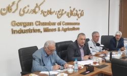 نائب رئیس کمیسیون کشاورزی اتاق بازرگانی ایران عنوان کرد: