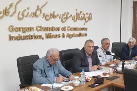 نائب رئیس کمیسیون کشاورزی اتاق بازرگانی ایران عنوان کرد: