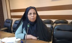 کارشناس امور بانوان مرکز اسلامی گلستان: