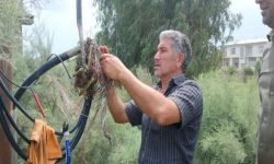 رییس مخابرات گمیشان: