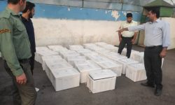 فرمانده یگان حفاظت منابع طبیعی و آبخیزداری گلستان: