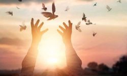 رئیس کل دادگستری گلستان خبرداد: