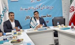 مدیر عامل شرکت بیمه دی استان گلستان: