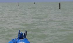 سرپرست بنادر و دریانوردی گلستان خبر داد؛