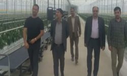 با حضور مدیر کل امور اقتصادی و دارایی استان انجام شد؛بازدید از پروژه یاسان دیار گلستان