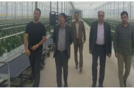 با حضور مدیر کل امور اقتصادی و دارایی استان انجام شد؛بازدید از پروژه یاسان دیار گلستان