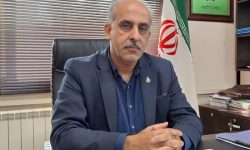 مدیر تعاون روستایی گلستان عنوان کرد؛