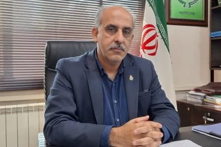 مدیر تعاون روستایی گلستان عنوان کرد؛