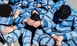 رئیس پلیس آگاهی گلستان عنوان کرد؛