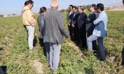 مدیرعامل سازمان مرکزی تعاون روستایی ایران؛