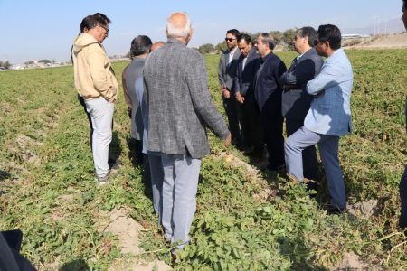 مدیرعامل سازمان مرکزی تعاون روستایی ایران؛