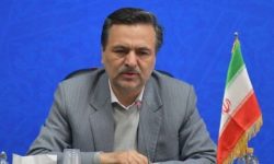 لزوم سرمایه گذاری در حوزه تولید آرد با کیفیت