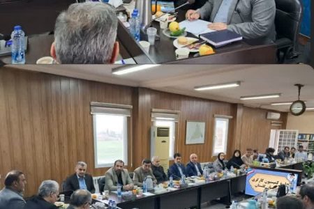 برگزاری نشست کمسیون کارگری در فرمانداری شهرستان آزادشهر