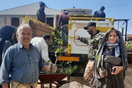 توزیع ۱۸ هزار نهال گل محمدی بین کشاورزان روستای وامنان آزادشهر