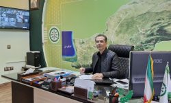 تخصیص سهمیه کودسرک اوره برای مزارع سیب زمینی