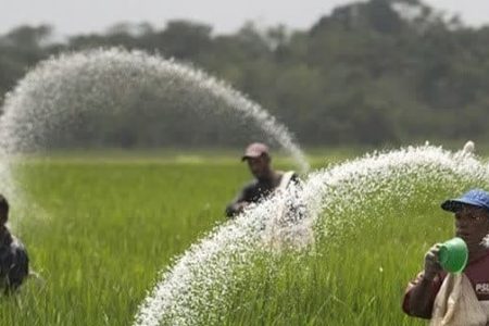 پيمانکاران تکثيري گلستان نگران مصرف کود سرک نباشند