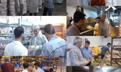 استمرار بازدید و نظارت عالیه کارشناسان دامپزشکی بر کشتارگاه های طیور سطح استان