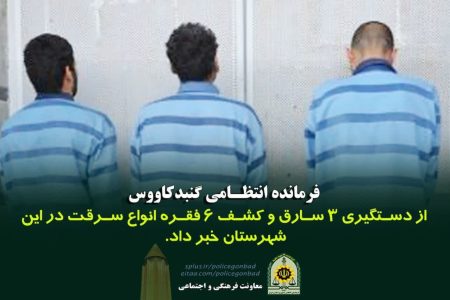 دستگیری سارقان واحدهای مسکونی در گنبدکاووس