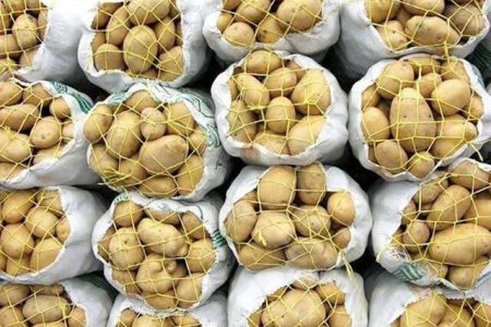 تخصیص سهمیه کود سرک اوره به سیب‌زمینی‌کاران گلستان