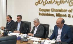 78.3 درصد مصوبات کارگروه تسهیل در سال گذشته اجرایی شده است