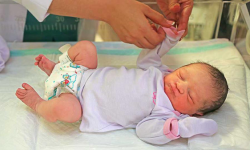 ثبت بیش از ۲۶ هزار ولادت در گلستان