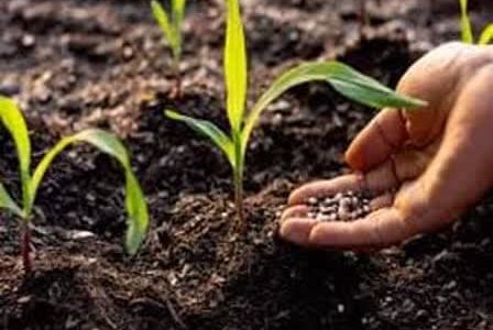 کشاورزان نگران مصرف کود پتاسه برای کشت بهاره نباشند