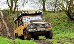 سهل انگاری آتش به خرمن گندم زد