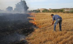 آتش کاه و کلش؛ عامل حریق های تابستانه گلستان