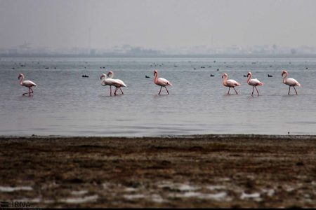 سو مدیریت‌ها عامل خشکسالی تالاپ های گلستان