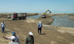 تولید بیش از 4000تن میگو در مجتمع گمیشان