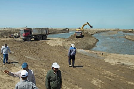 تولید بیش از 4000تن میگو در مجتمع گمیشان