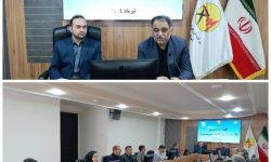 قدردانی نماینده ویژه توانیر از عملکرد شرکت توزیع برق گلستان در حوزه‌های مختلف