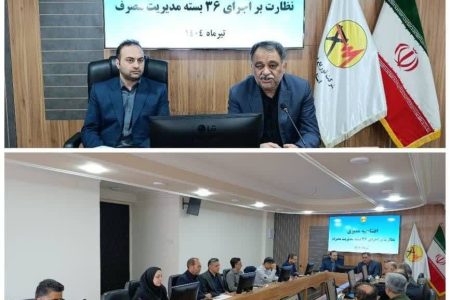 قدردانی نماینده ویژه توانیر از عملکرد شرکت توزیع برق گلستان در حوزه‌های مختلف