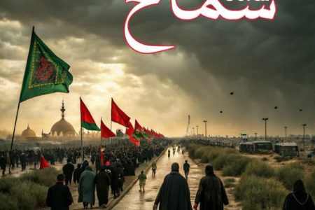 آمار ثبت نام زائران اربعین حسینی (ع) در استان گلستان از مرز 17 هزارو 500 نفر عبور کرد