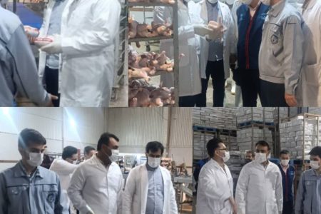 بازدید مدیر کل دامپزشکی استان از کشتارگاه صنعتی طیور شهید فخری زاده متعلق به مجموعه مزرعه نمونه