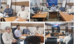 سومین نشست کمیسیون رصد و پایش‌ گندم و آرد و نان استان بصورت ویدئو کنفرانس برگزار شد