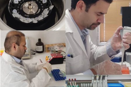 پایان طرح پایش بیماری نیوکاسل در طیور بومی گلستان