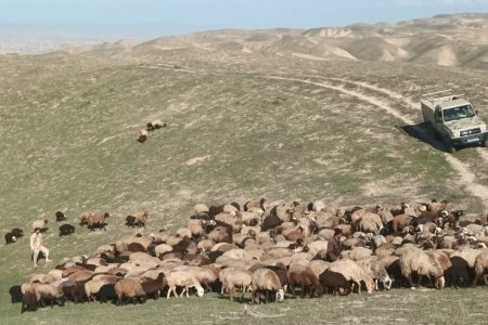 توقیف و مهار ۱۱۳۰ راس احشام توسط مرزبانان هنگ مرزی اترک